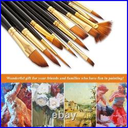 12 Pieces Artist Painting Brush Set Includes Zippered Carrying Case and Knife