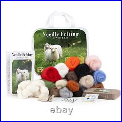 Complete Needle Felting Craft Starter Kit for Beginners, Premium Tools and Su
