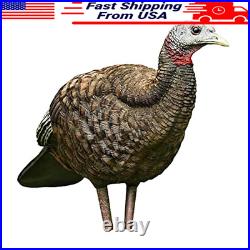 Lifelike Collapsible Turkey Decoy Folding Hen Realistic Postures Carrying Case