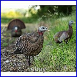 Lifelike Collapsible Turkey Decoy Folding Hen Realistic Postures Carrying Case