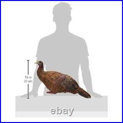 Lifelike Collapsible Turkey Decoy Folding Hen Realistic Postures Carrying Case