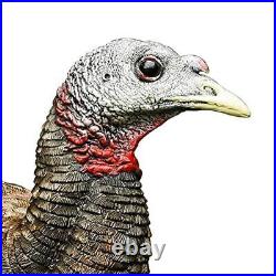 Lifelike Collapsible Turkey Decoy Folding Hen Realistic Postures Carrying Case