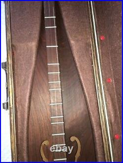 Mountain Dulcimer String Instrument in Wood Carry Case Expertly Crafted + Books