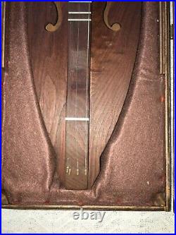 Mountain Dulcimer String Instrument in Wood Carry Case Expertly Crafted + Books