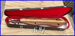 Mountain Dulcimer String Instrument with Carry Case and extras (Expertly Crafted)