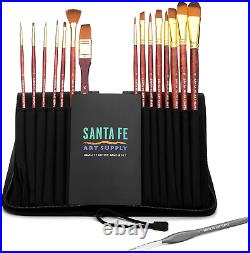 Paint Brush Set WithCarrying Case-Organizer 15 + 1 Professional Grade Wood Kit &