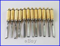 Wood Carving Chisel Set Professional Wood Carving Tools pcs Carrying Case